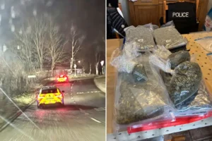 Fifteen arrested and drugs, weapons and cash seized in York crime blitz