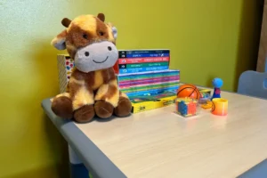 New centre for sexual assault victims opened in York