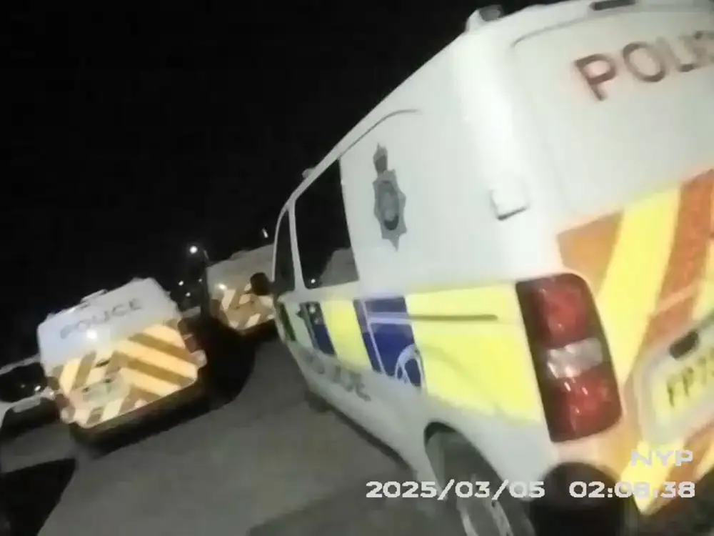 Suspected burglars caught in the act in York