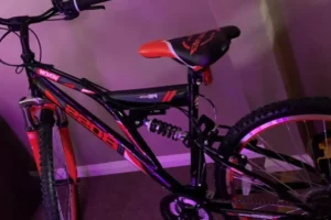 Mountain bike stolen from York pub