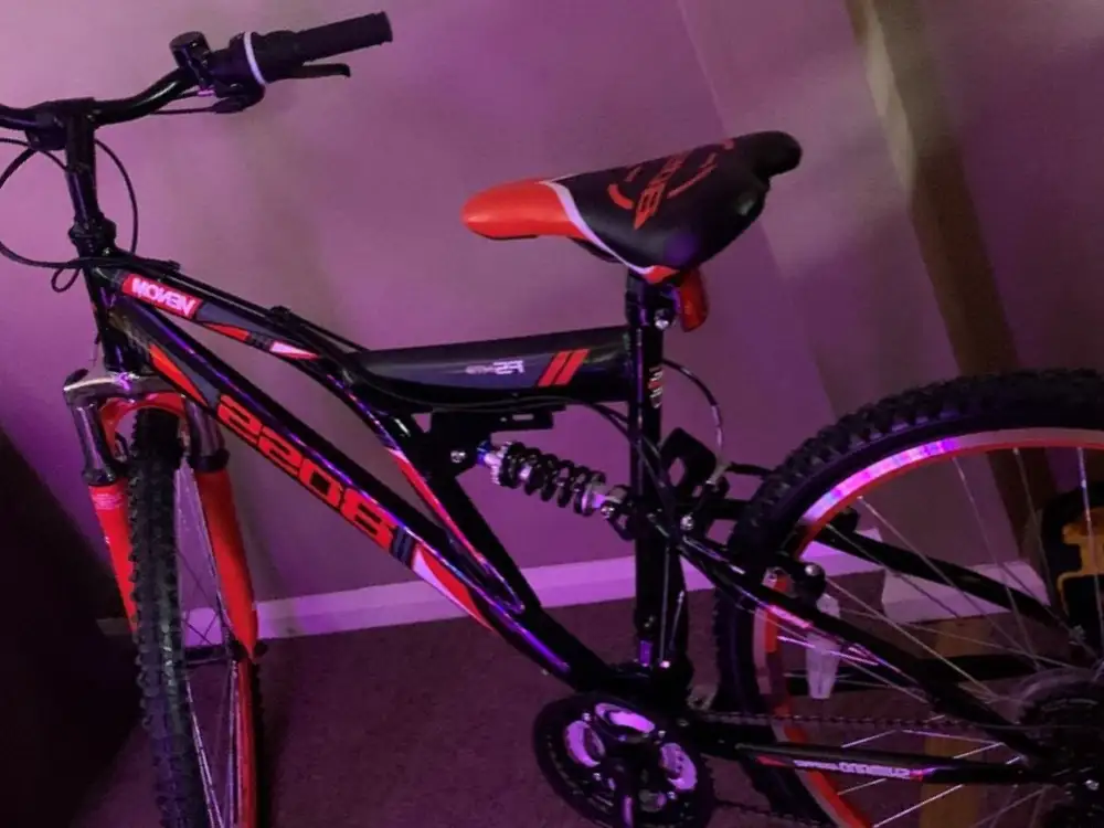 Mountain bike stolen from York pub