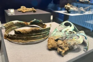 York museum’s fundraiser to save precious treasures is off to a flying start