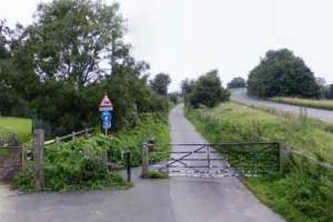 Police called in after deliberate fire in York wood