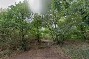 Police to patrol North Yorkshire wood after damage by bikers