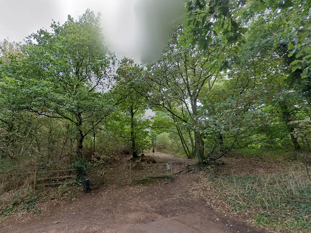 Police to patrol North Yorkshire wood after damage by bikers
