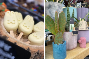 Get half price tickets to Living North – with live demos, shopping and tastings