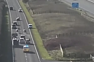 Pony and trap races into oncoming traffic posed ‘significant risk’