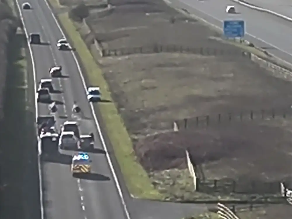 Pony and trap races into oncoming traffic posed ‘significant risk’