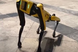 Watch: Spot the robot dog takes a tour of York Minster