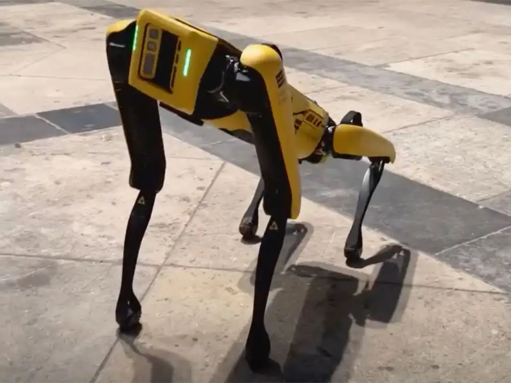 Watch: Spot the robot dog takes a tour of York Minster