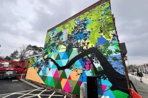 More street art is coming to Acomb – Have your say!