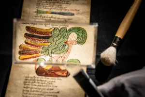 Extraordinary 500-year-old artefact found in York – One of just 11 in the world