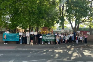 Two York schools hit by more strikes