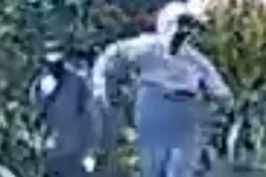 Who keeps throwing bricks at a house and vehicle in York?