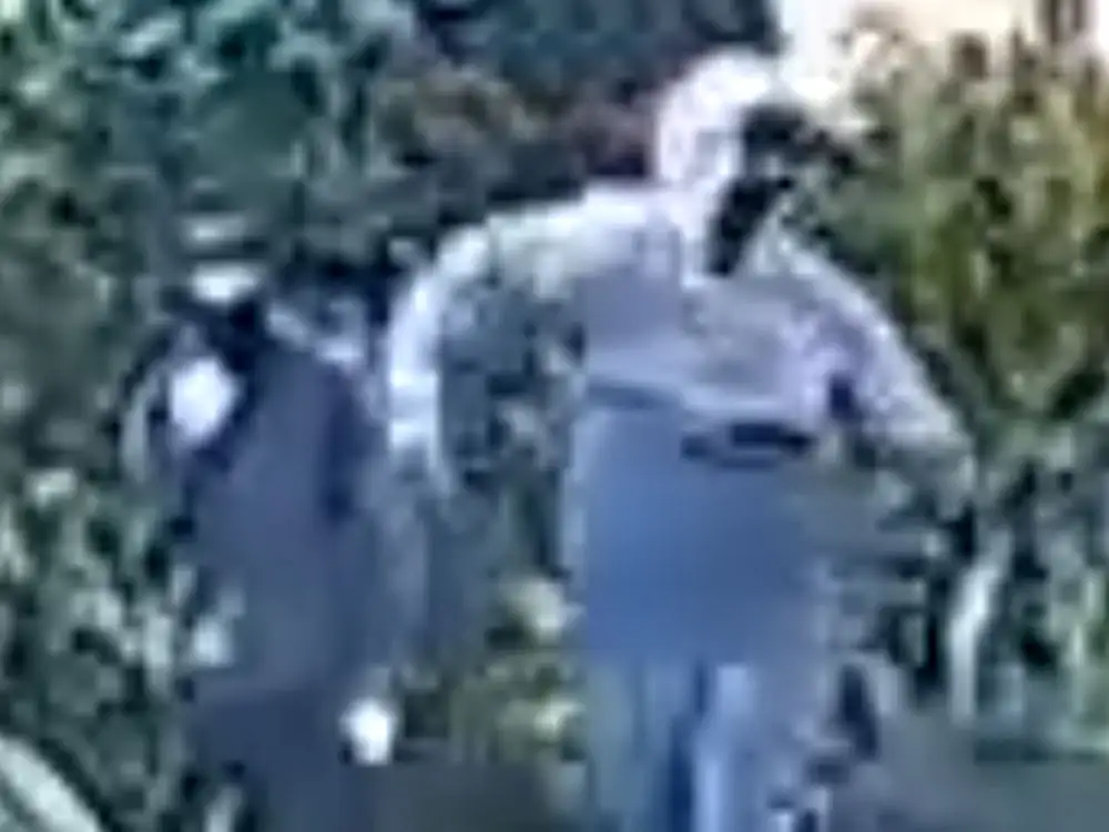 Who keeps throwing bricks at a house and vehicle in York?