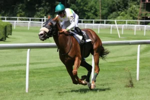 Making the Most of Your York Racecourse Weekend