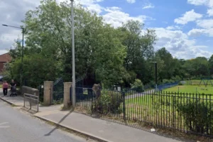 ‘I just don’t understand it’: Vandals destroy 300 trees in York park