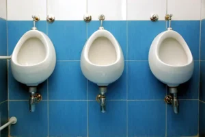York pubgoers to be reminded to use the loo before they leave