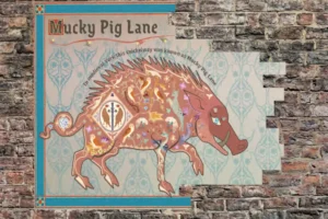 Major street art project for York revealed – with 11 new pictures