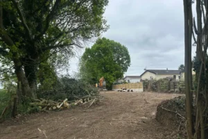 Villagers shocked as ‘unauthorised’ digger clears green land of vegetation