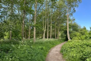 Police investigate multiple fires started at York nature reserve