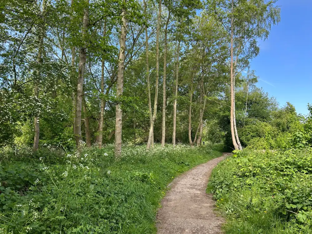 Police investigate multiple fires started at York nature reserve