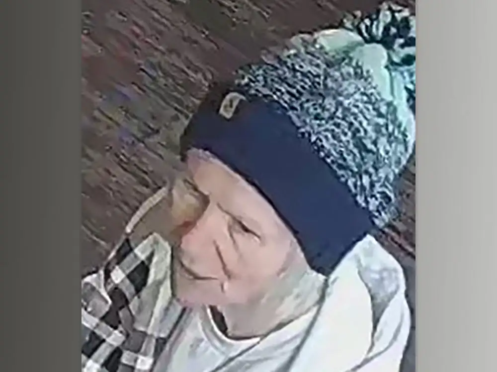 Ceramic model stolen from York store