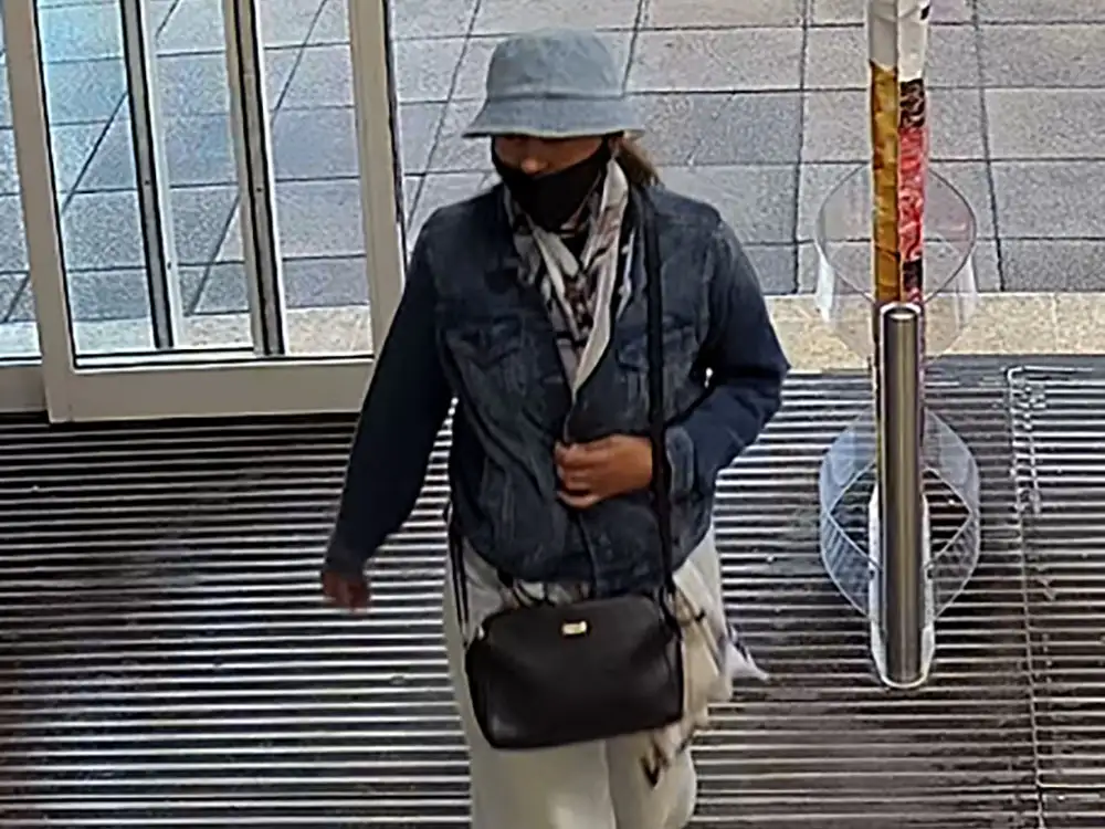 Masked suspect sought after theft from 91-year-old woman in York store