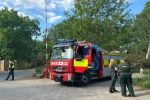Strensall Common blaze latest: Firefighters remain at the scene
