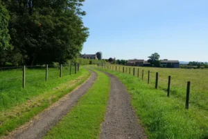 Signs vandalised with anti-Semitic graffiti near York