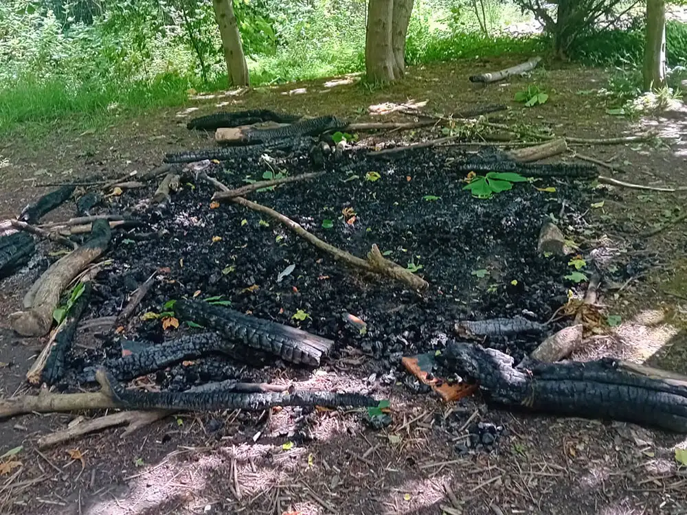 ‘It was like they wanted to destroy the woodland’: Despair over fires on York trail