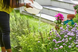 Yorkshire Water asks residents ‘to use water wisely’ – sparking backlash