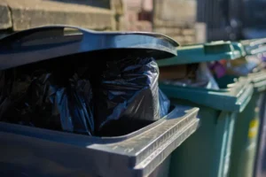 These areas of York are going to get new wheelie bins
