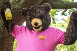 Spot Arthur the Bear today in York to win launch party tickets