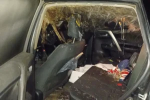 Car vandalised and set on fire on York street