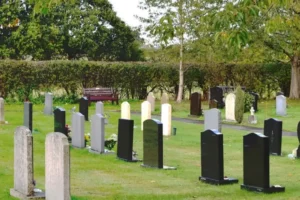 Plans for 700-home estate in York get go-ahead despite cemetery worries