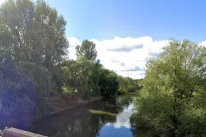 Firefighters rescue 19 cows from river