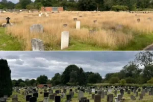 Volunteers transform overgrown cemetery in York after mess left families in tears