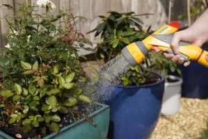 Hosepipe ban imposed on Yorkshire as drought worsens