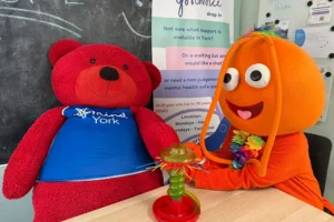 Have you spotted Rufus? Here’s how this giant red bear is helping to raise awareness for a York charity