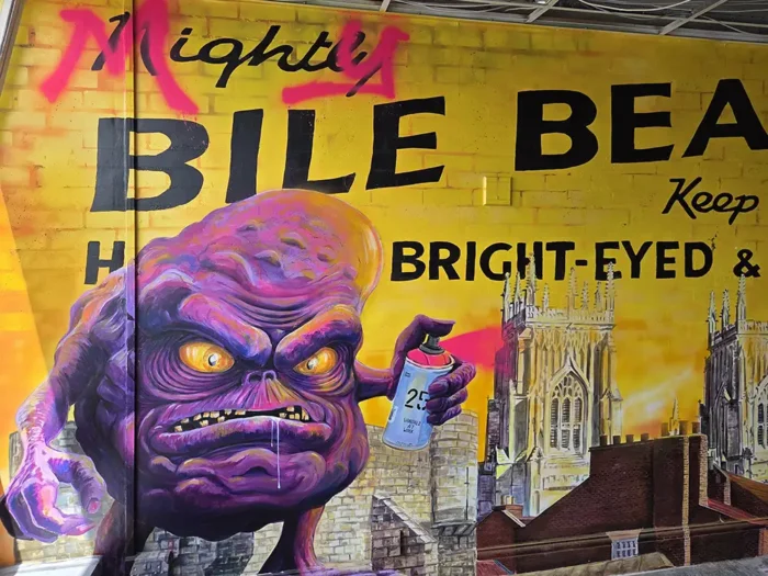 27 pix: Take a look inside York's new street art exhibition