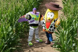 Watch: York Maze reveals its ‘buzzing’ new design for 2025
