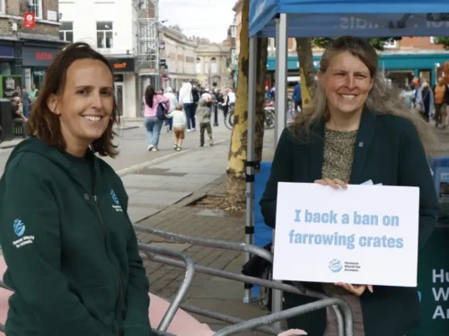 MP Rachael Maskell joins animal rights campaigners in York