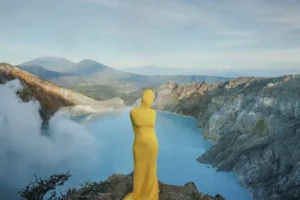 New immersive exhibition and international art prize is coming to York gallery