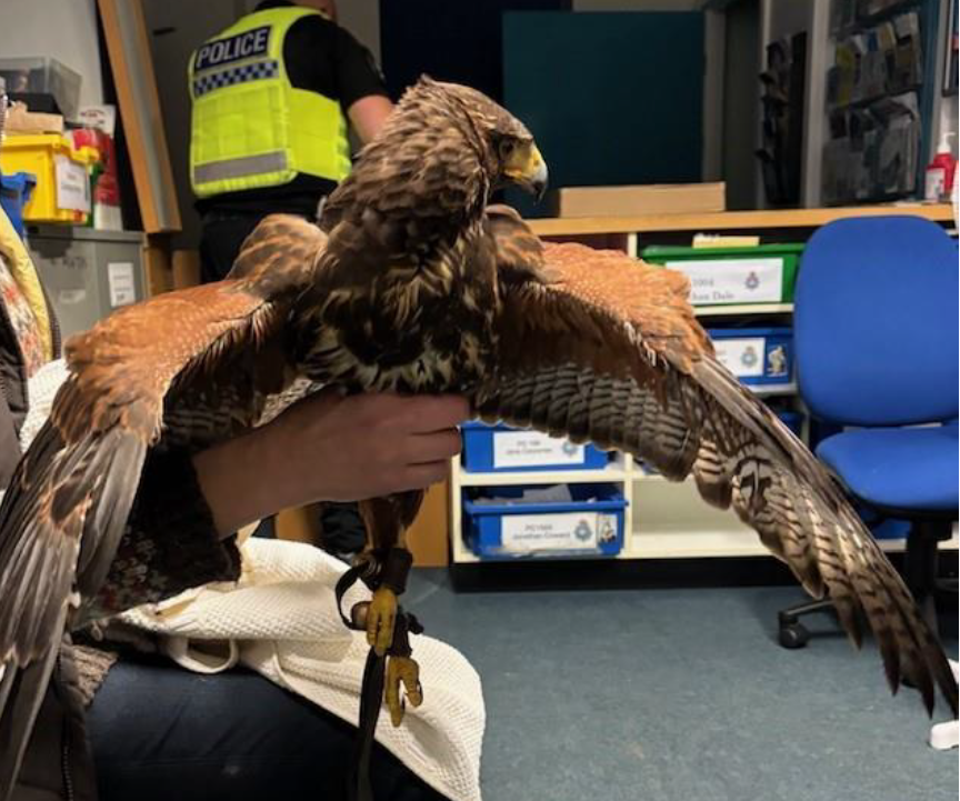 Lancashire poacher fined for cruelty to animals at North Yorkshire beauty spot