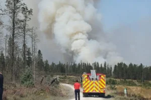 Langdale Moor fire could take centuries to recover, experts warn