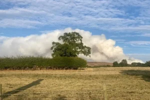 Roads closed and holiday parks evacuated as moor fire spreads
