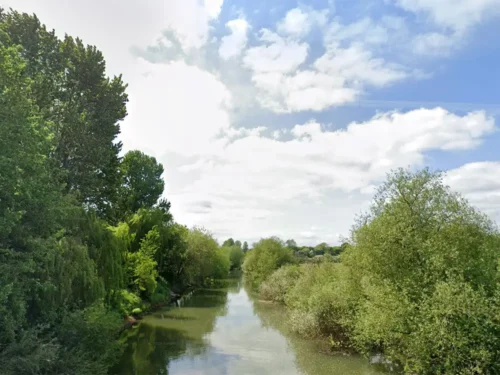 North Yorkshire fire crews rescue dog after it tumbles down river bank