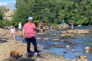Campaigners warn of E. coli risk at North Yorkshire beauty spot