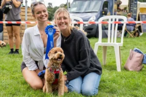 Tails will wag at York's annual Dog Festival this weekend